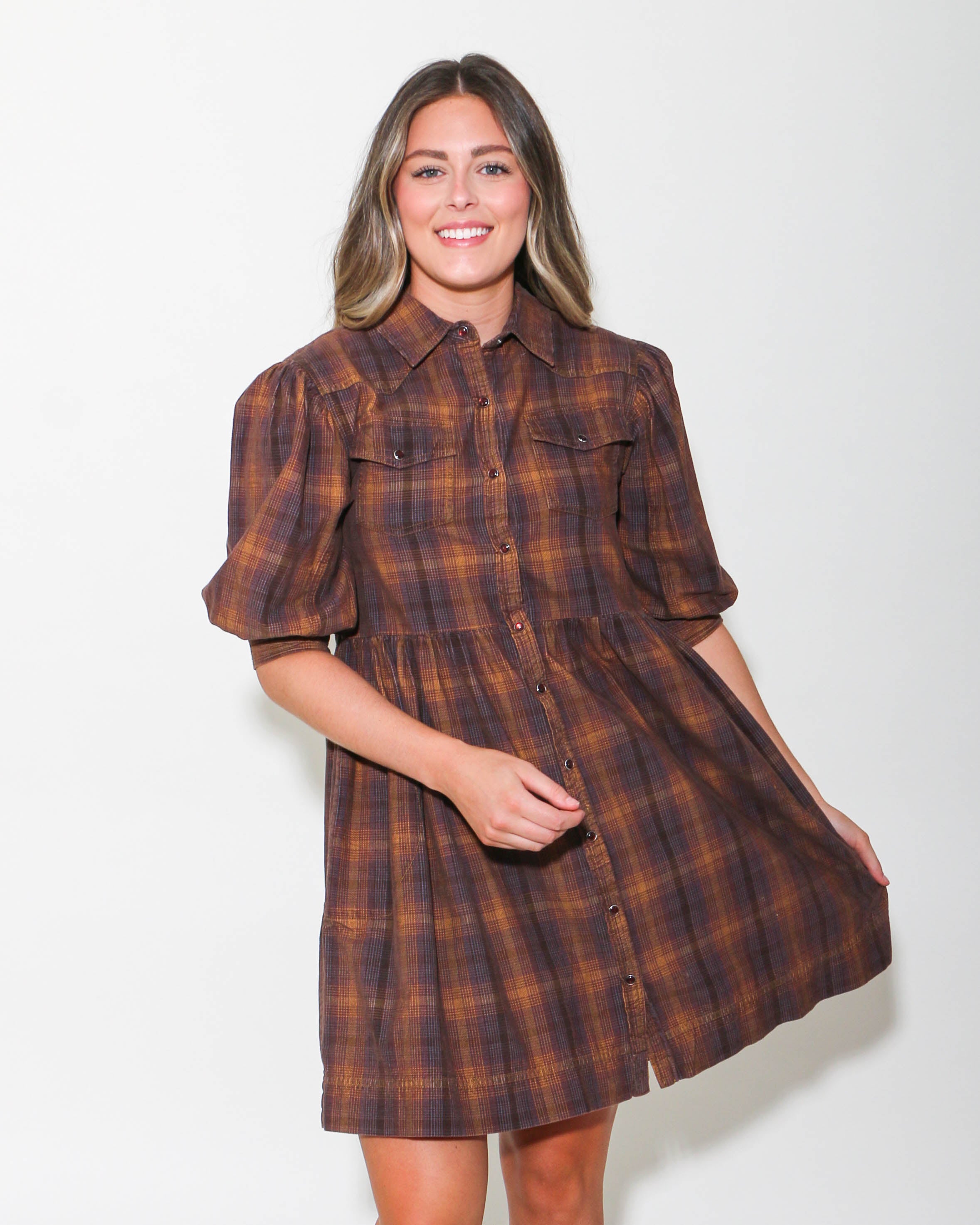 Ivy Jane | Ombre Plaid Snap Dress