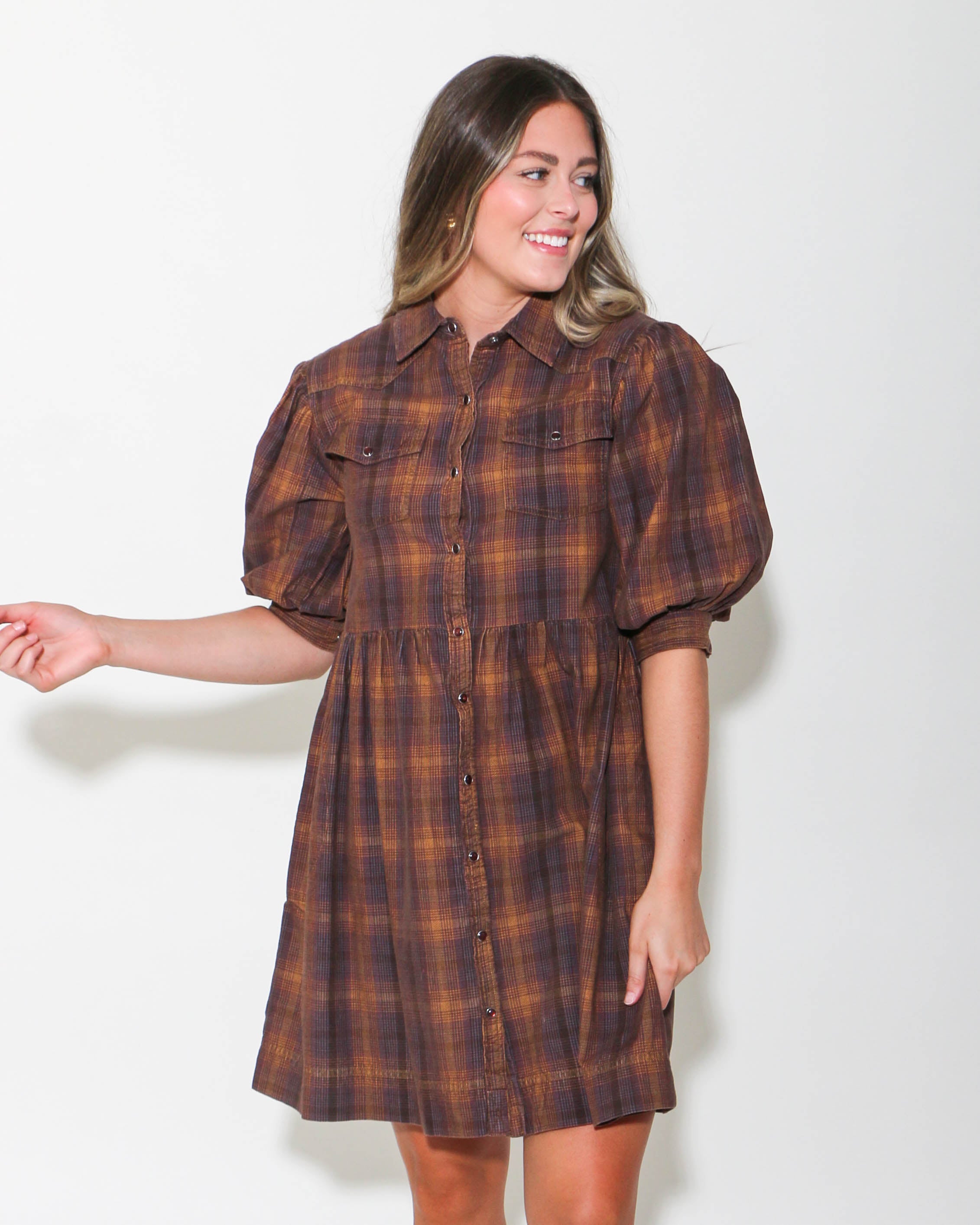 Ivy Jane | Ombre Plaid Snap Dress