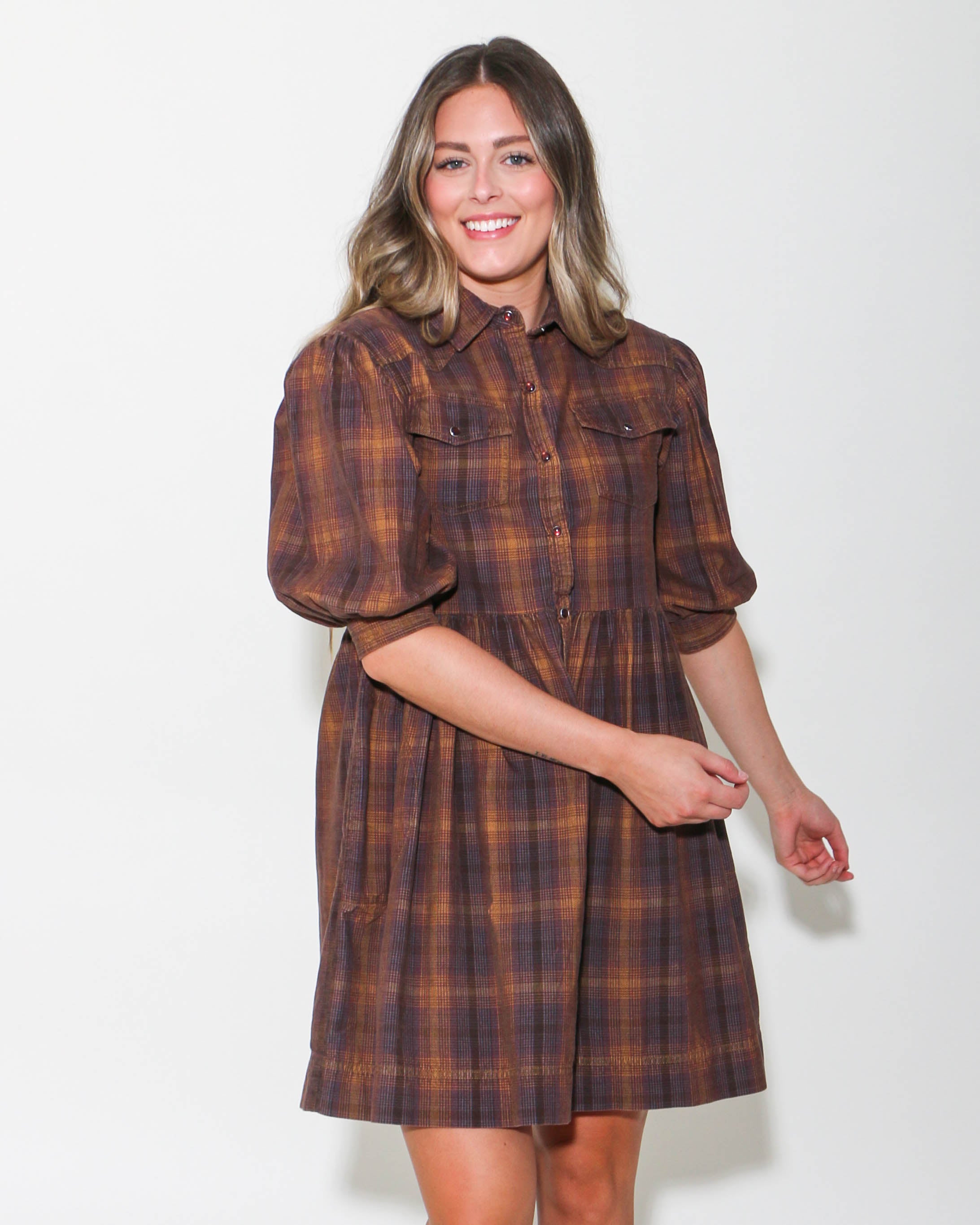 Ivy Jane | Ombre Plaid Snap Dress