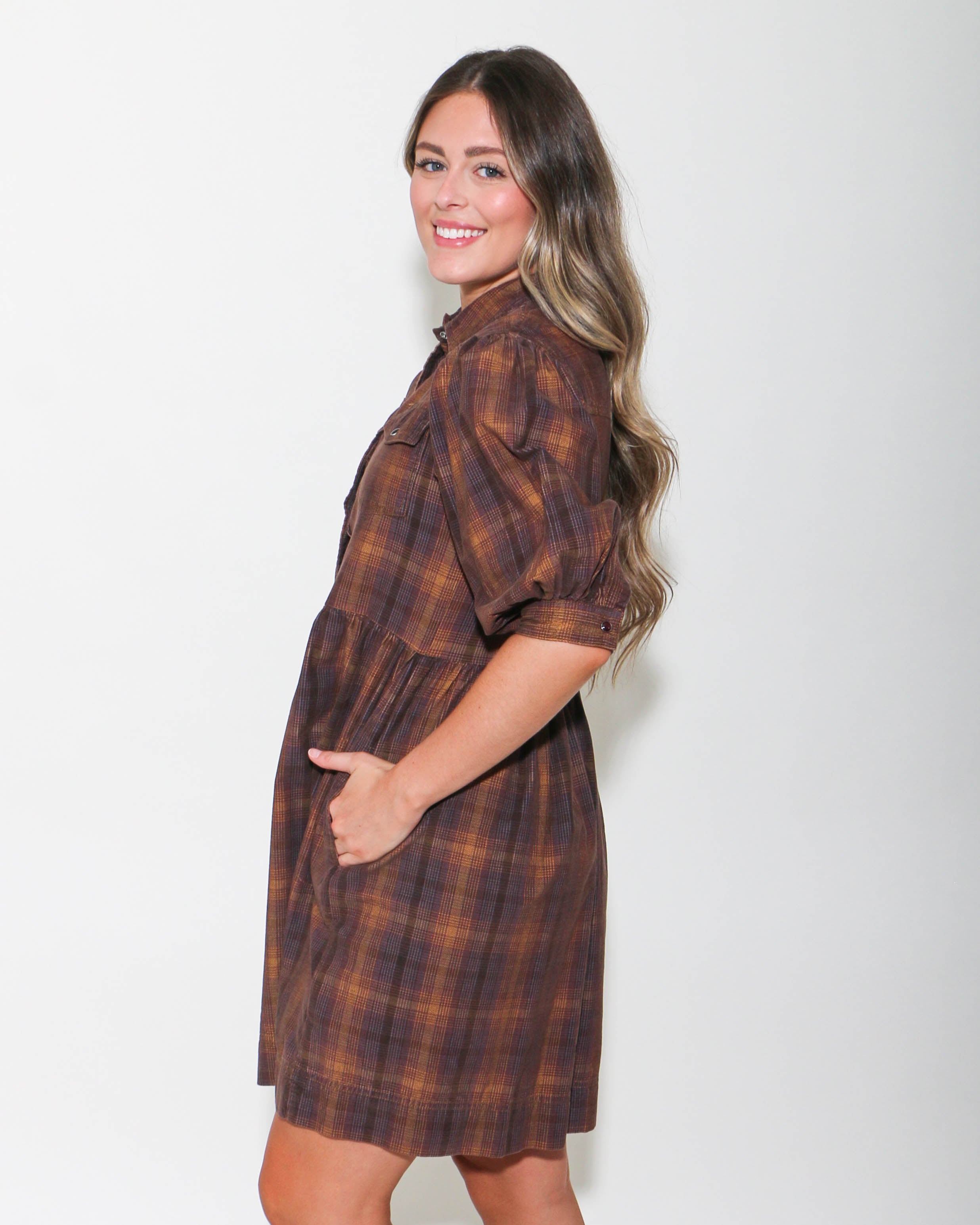 Ivy Jane | Ombre Plaid Snap Dress